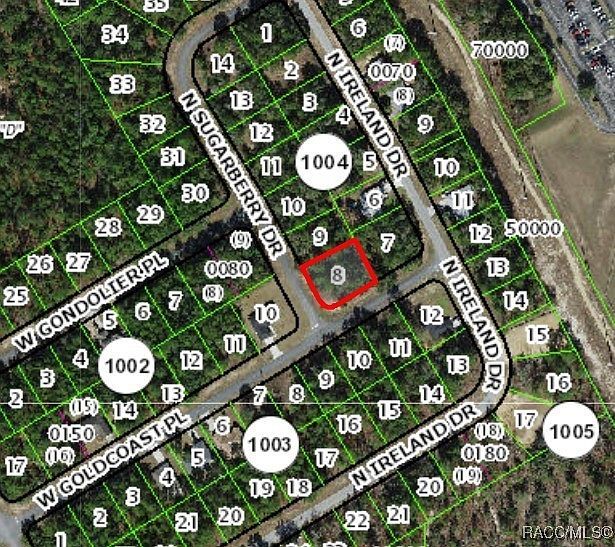 7363 N Sugarberry Dr Citrus Springs, FL 34434 - Thumbnail 4