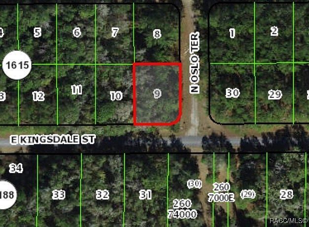 9060 N Oslo Ter Citrus Springs, FL 34434 - Thumbnail 4