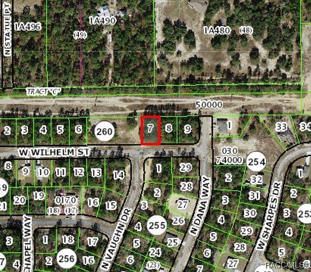 3131 W Wilhelm St Citrus Springs, FL 34433 - Thumbnail 4
