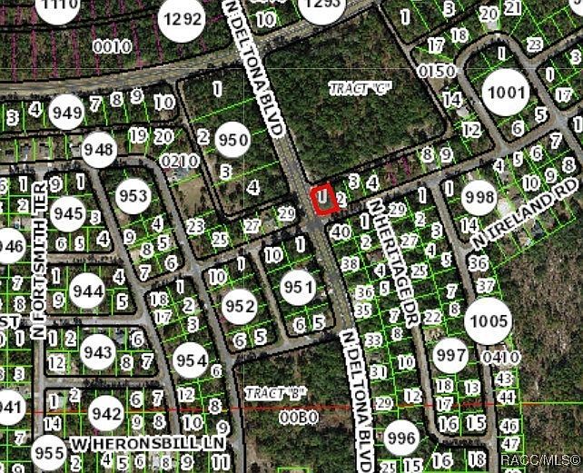 375 W Goldcoast Pl Citrus Springs, FL 34434 - Thumbnail 4