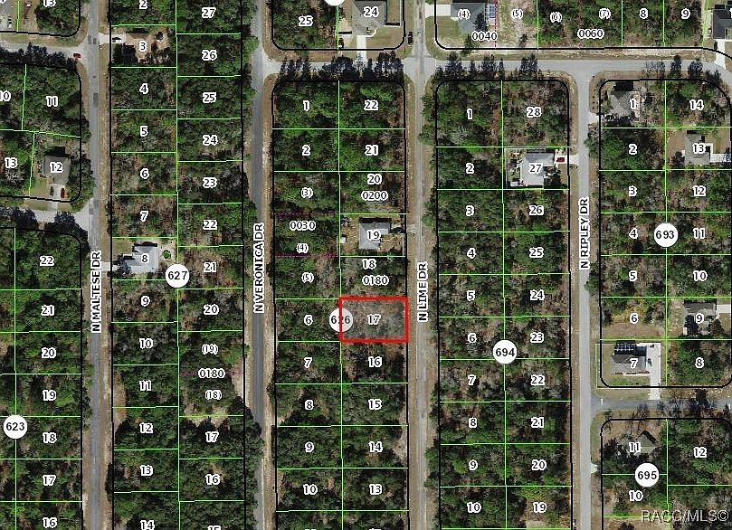 7180 N Lime Dr Citrus Springs, FL 34433 - Thumbnail 4