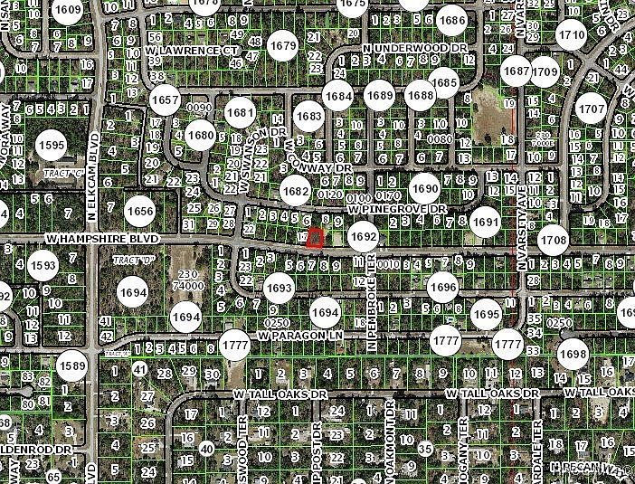 2295 W Hampshire Blvd Citrus Springs, FL 34434 - Thumbnail 4