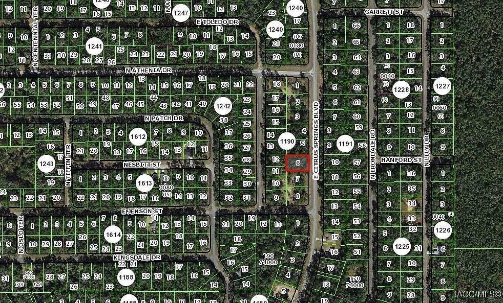 1471 E Citrus Springs Blvd Citrus Springs, FL 34434 - Thumbnail 4