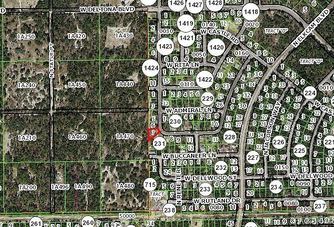 10330 N Spaulding Dr Citrus Springs, FL 34433 - Thumbnail 4