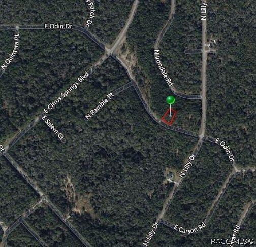 1345 E Odin Dr Citrus Springs, FL 34434 - Thumbnail 4