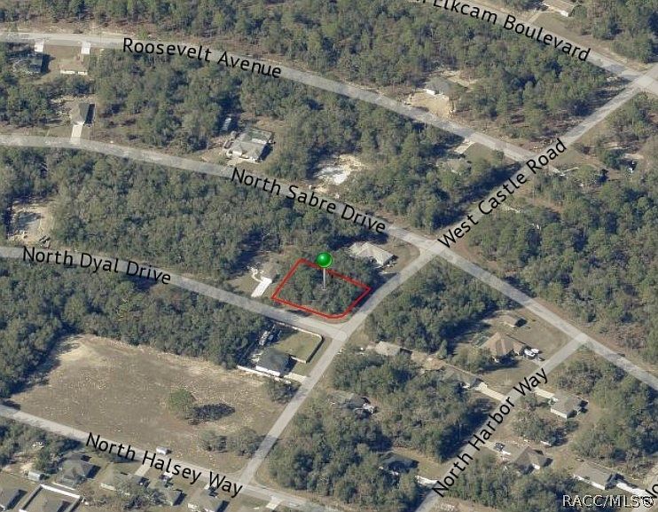 10222 N Dyal Dr Citrus Springs, FL 34434 - Thumbnail 4