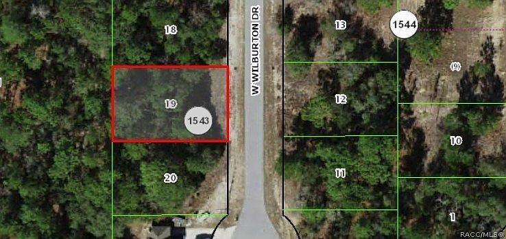 3963 W Wilburton Dr Citrus Springs, FL 34433 - Thumbnail 4