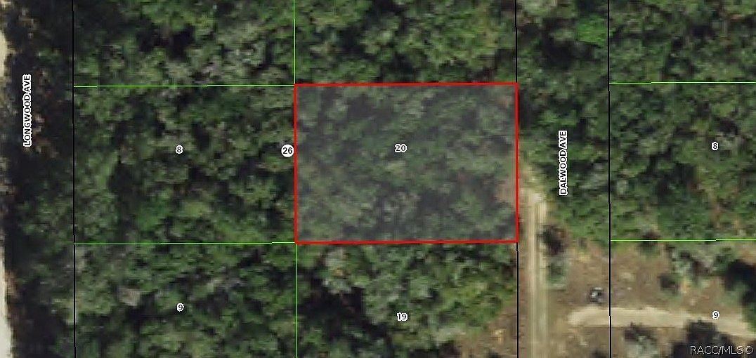 703 Dalwood Ave Inverness, FL 34453 - Thumbnail 4