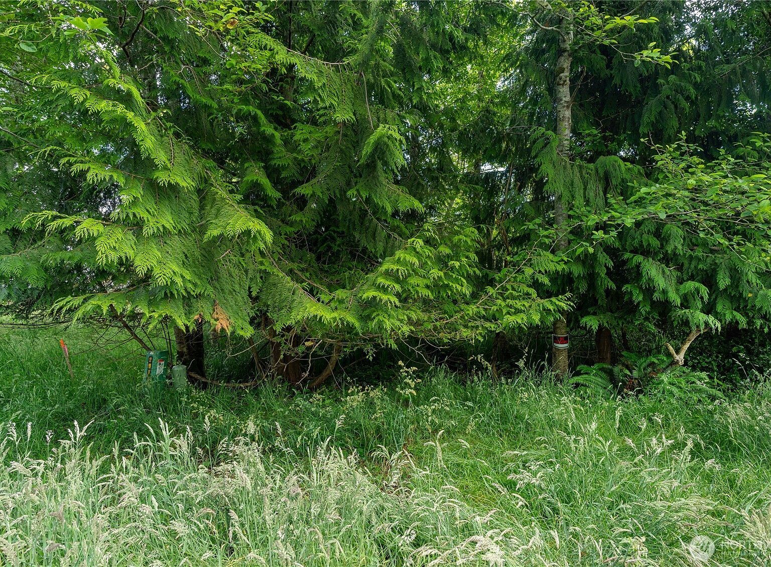 576 Chenois Ave NE Ocean Shores, WA 98569 - Thumbnail 4