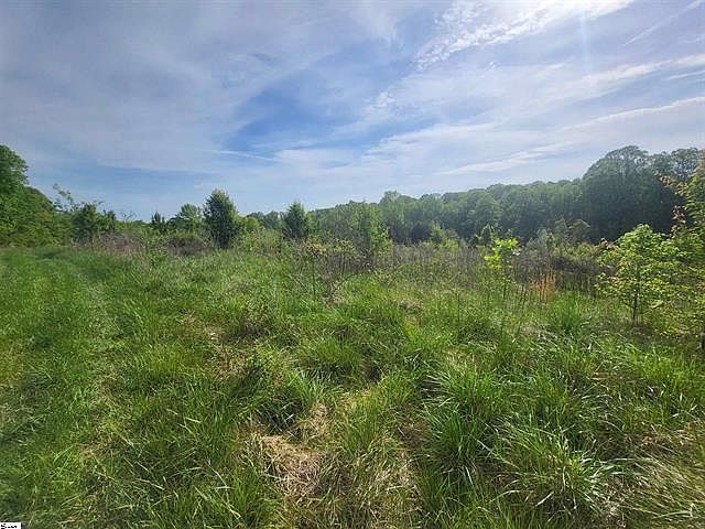 0 Babb Rd Greer, SC 29651 - Thumbnail 4