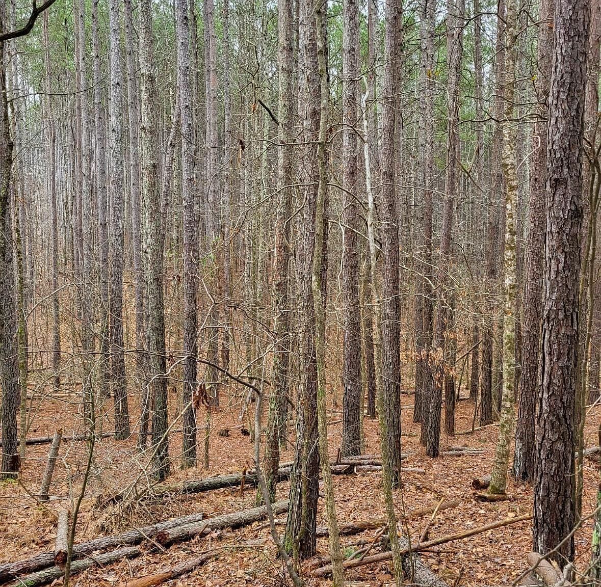 461 Cowford Bridge Rd Spartanburg, SC 29302 - Thumbnail 4