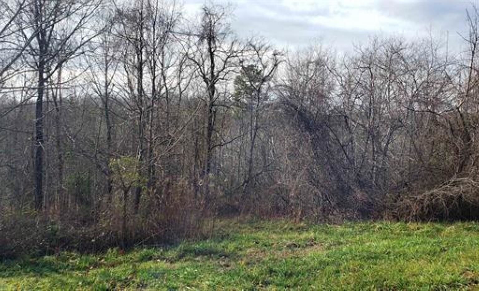 0 Lockhart Cir Landrum, SC 29356 - Thumbnail 4