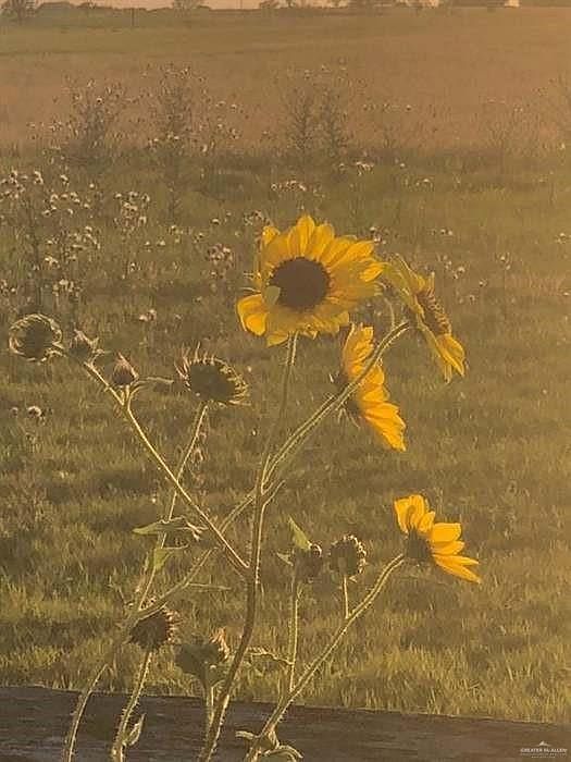 0 N Oak Knoll St Edcouch, TX 78538  | Land/Lot