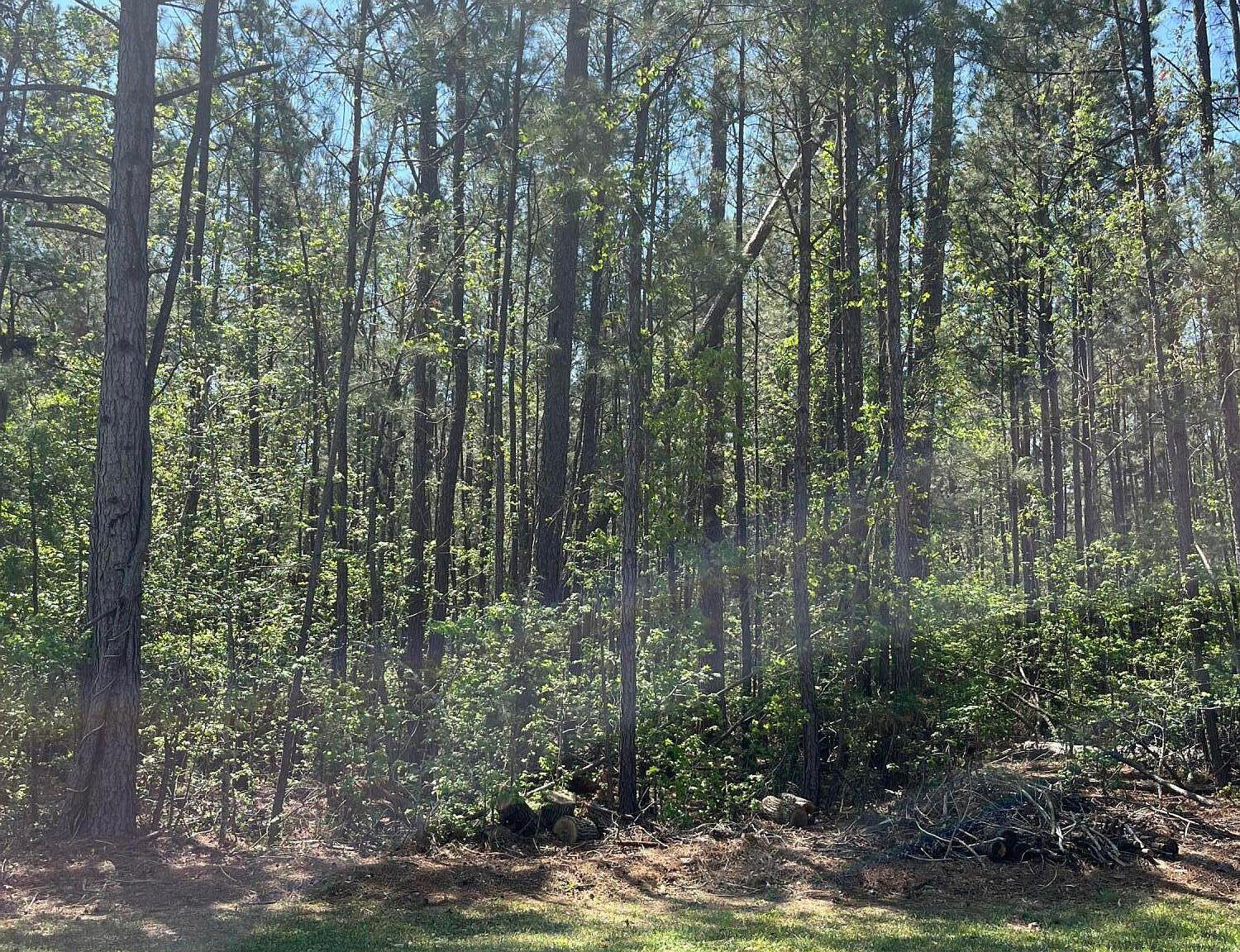 1439 L B39 Antioch Dr #14 Mc Cormick, SC 29835 - Thumbnail 4