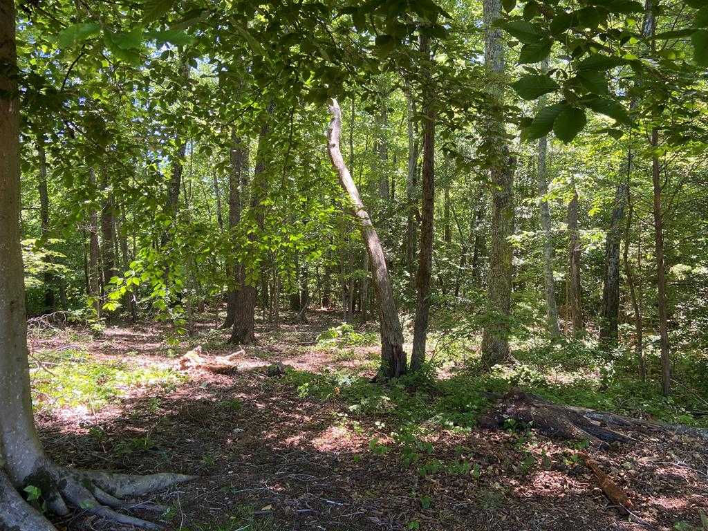 Lot 22-E Highway Nine-O-Three, Bracey, VA, 23919 - Thumbnail 4