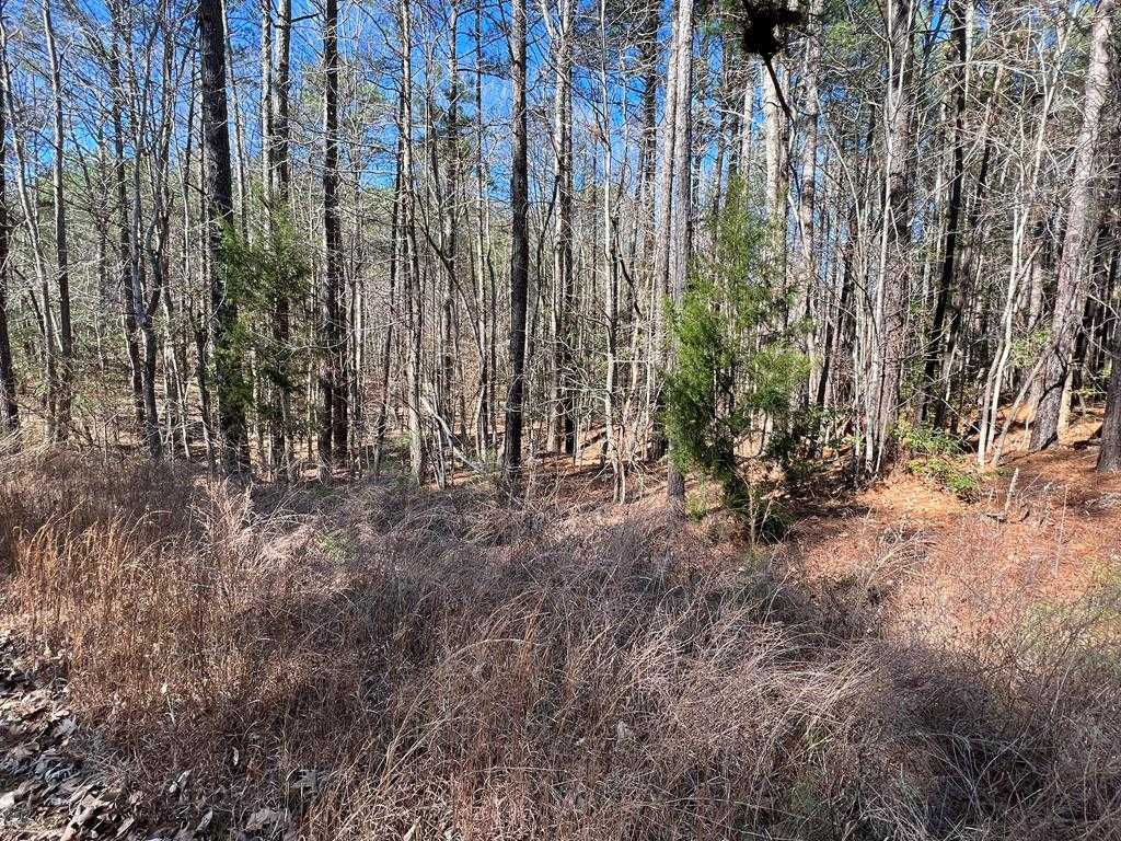 Lot 77 Mill Creek Drive - Thumbnail 4