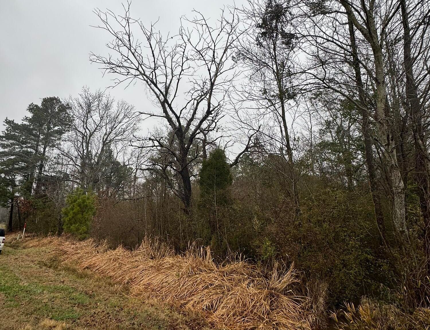 894 Swamp Rd Pantego, NC 27860 - Thumbnail 4