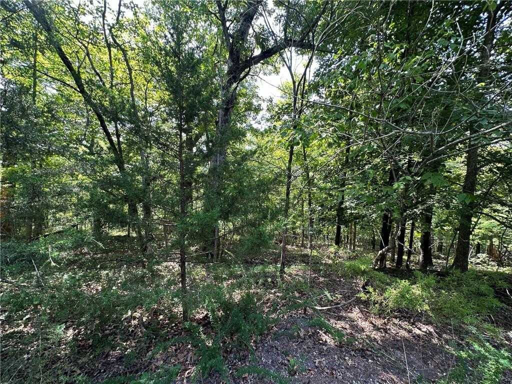 Lot 46 Block 2 Twyford Lane, Bella Vista, AR 72714 - Thumbnail 4