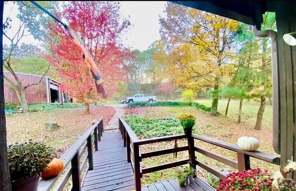 32688 Highway 295 Hindsville, AR 72738 - Thumbnail 4