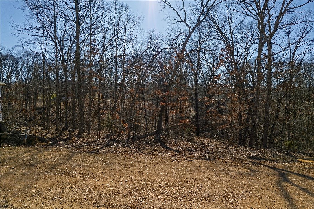 12 Bexhill Cir Bella Vista, AR 72714 - Thumbnail 4