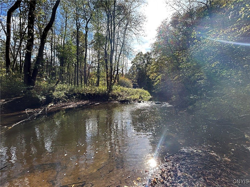 15196 State Route 104 Spur #25 Martville, NY 13111 - Thumbnail 4