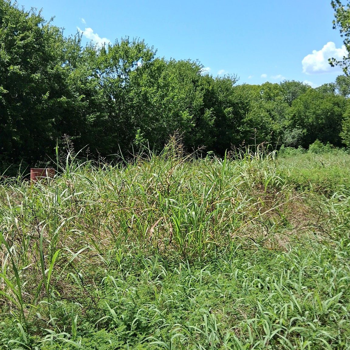 209 Texas Dr Palmer, TX 75152  | Land/Lot