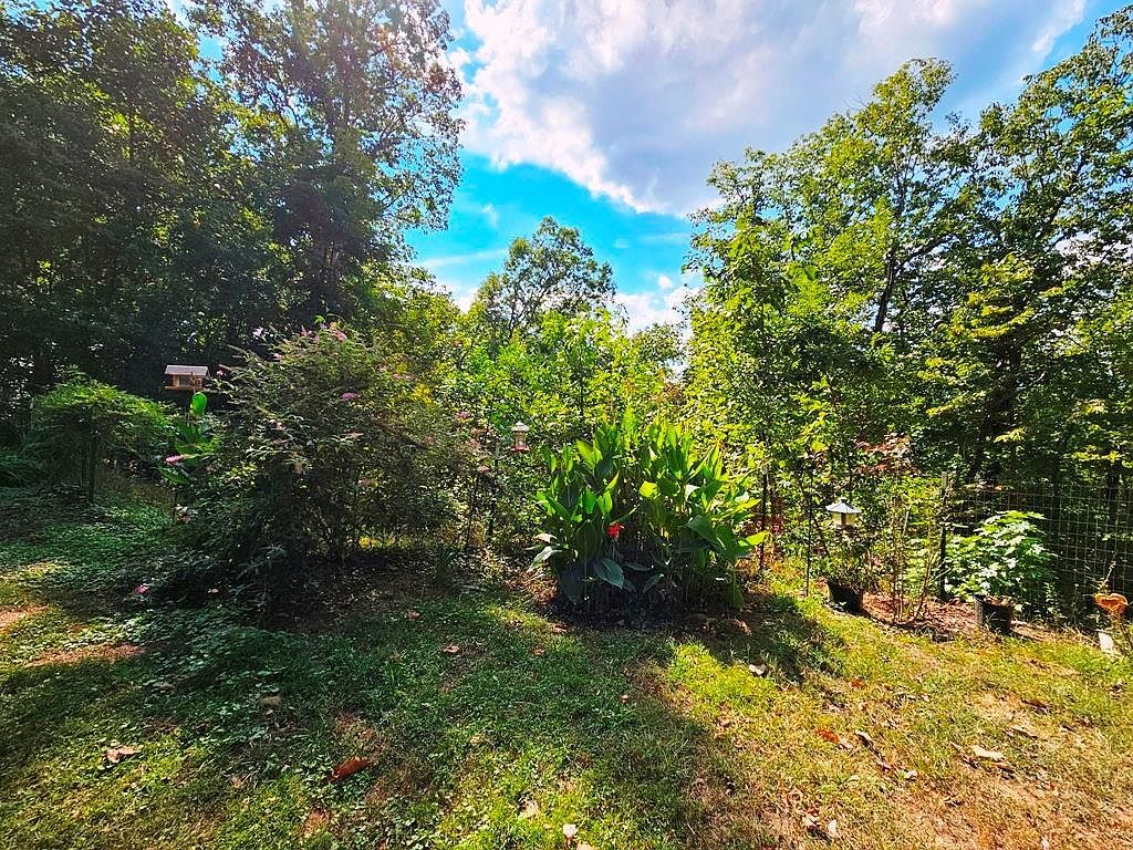 276 Oak Bend Ln Murphy, NC 28906 - Thumbnail 4