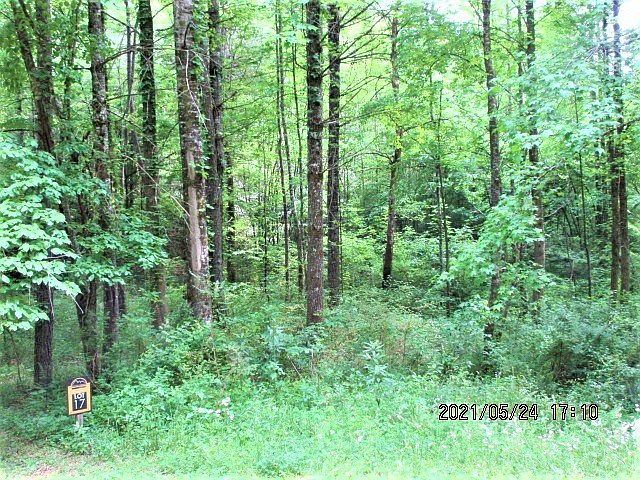 L17 Panther Springs Rd Murphy, NC 28906 - Thumbnail 4