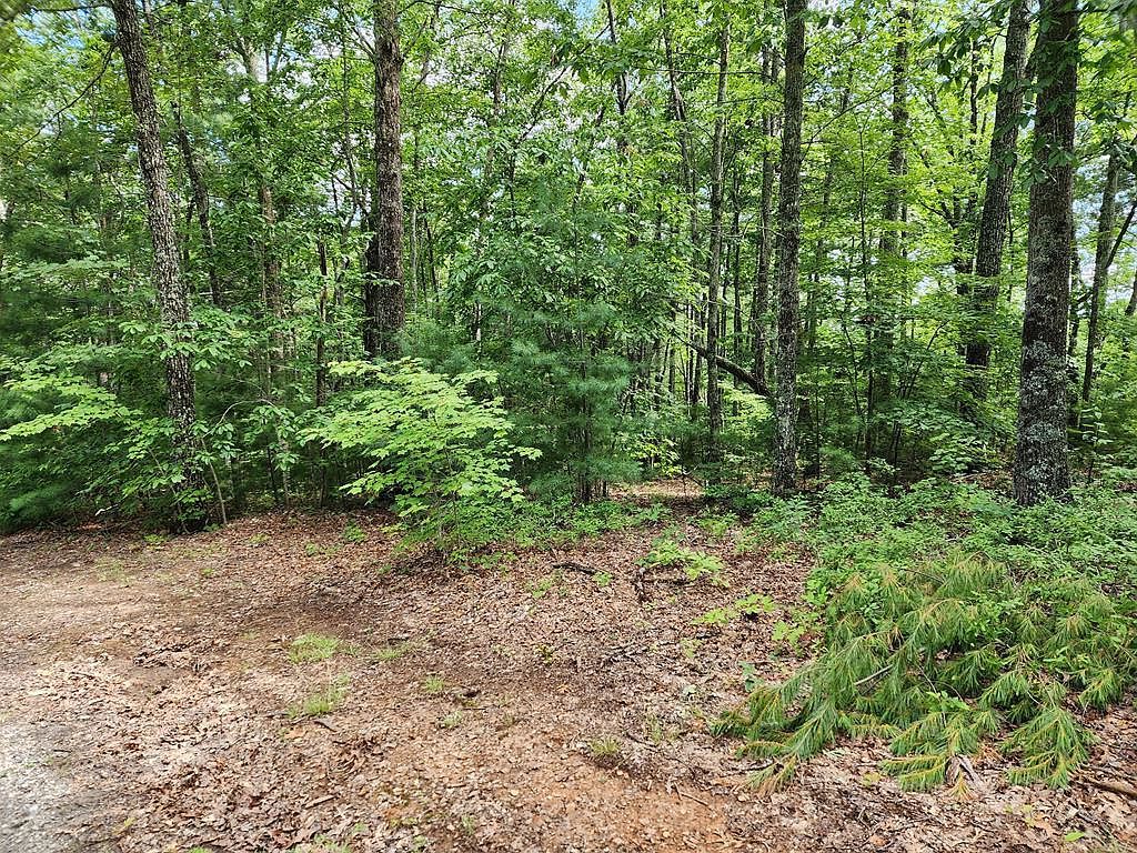 0 Gray Grouse Trl Murphy, NC 28906 | Land/Lot