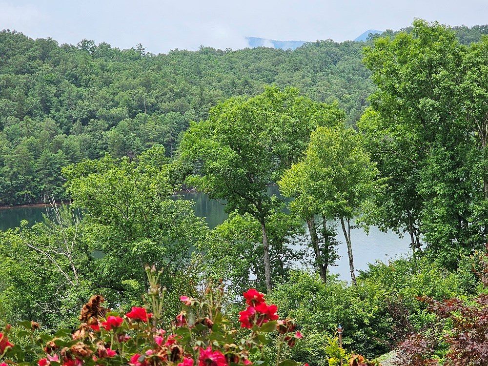 12 Wilderness Lake Cir Murphy, NC 28906 - Thumbnail 4