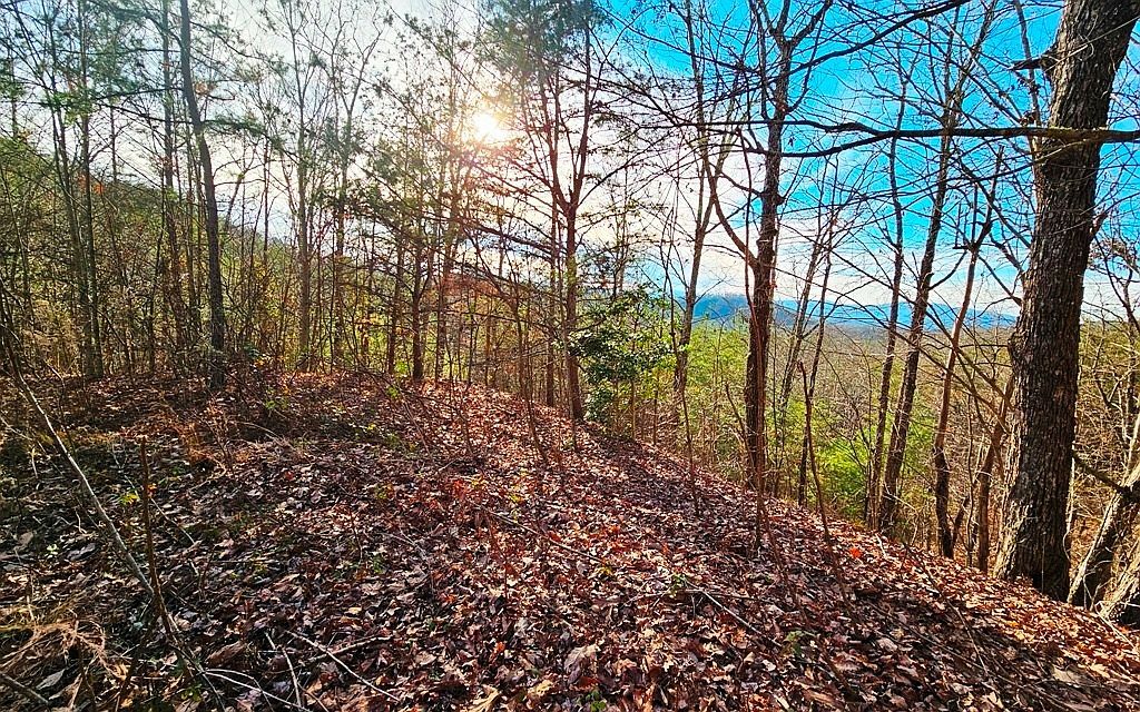 LOT 80 Graystone Dr Murphy, NC 28906 - Thumbnail 4