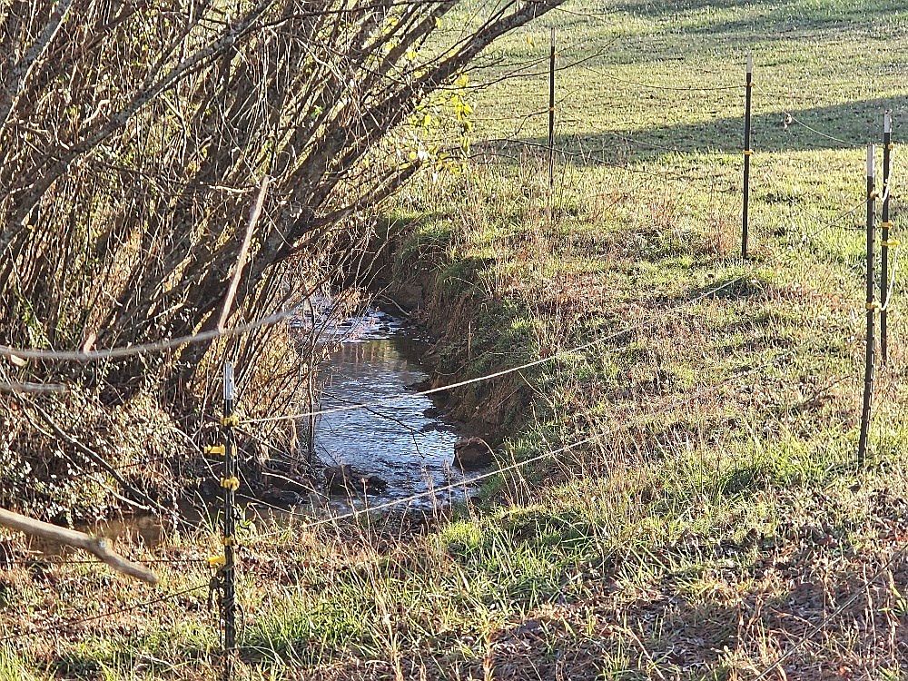 21 Broadleaf Ln Murphy, NC 28906 - Thumbnail 4