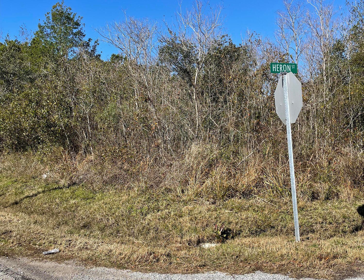 11011 Heron St Bay Saint Louis, MS 39520 - Thumbnail 4