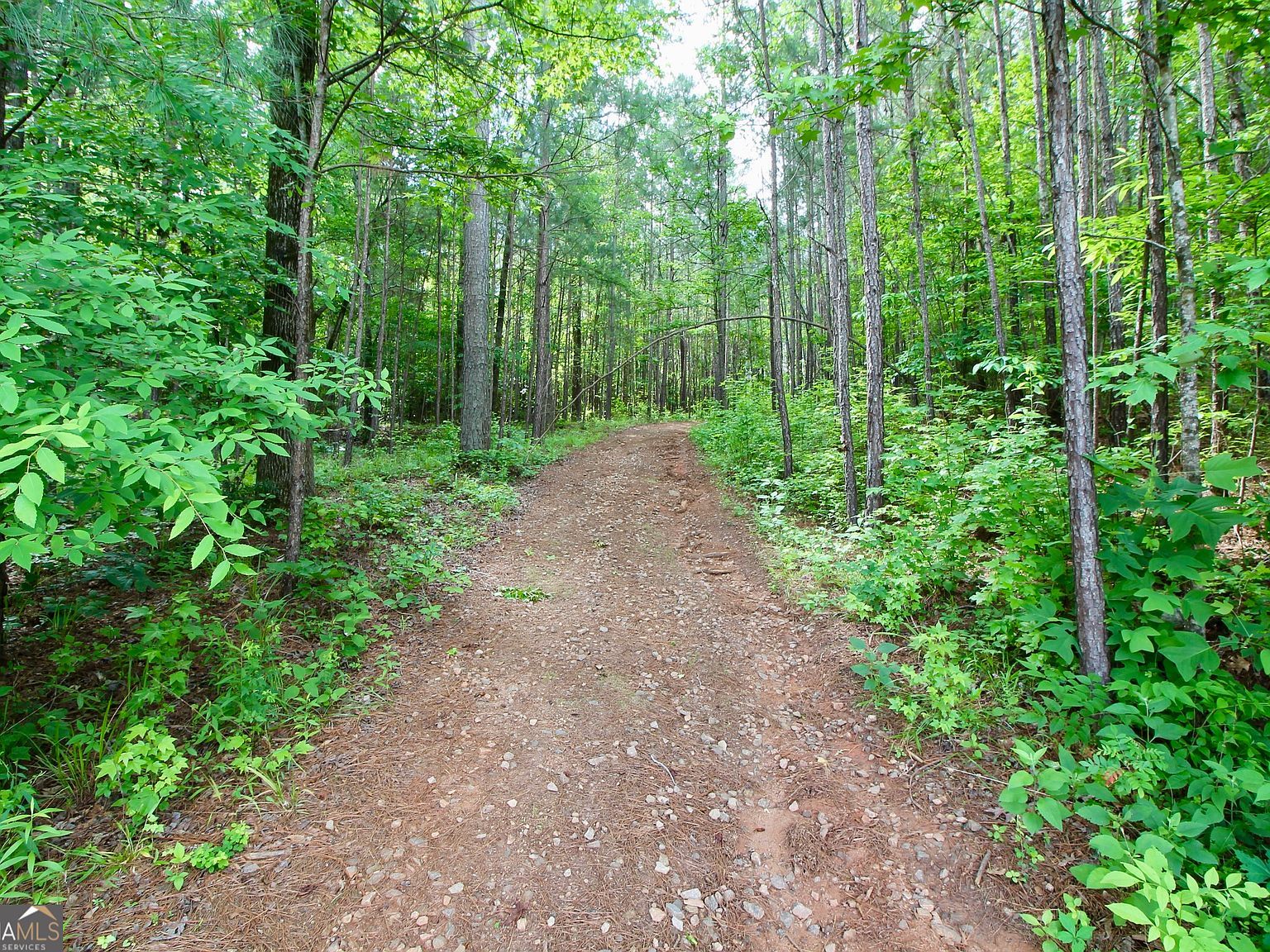 207 River Overlook Forsyth, GA 31029 - Thumbnail 4