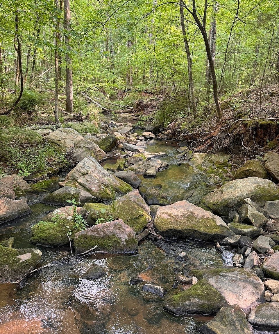 449 Old Indian Springs Rd Forsyth, GA 31029 - Thumbnail 4