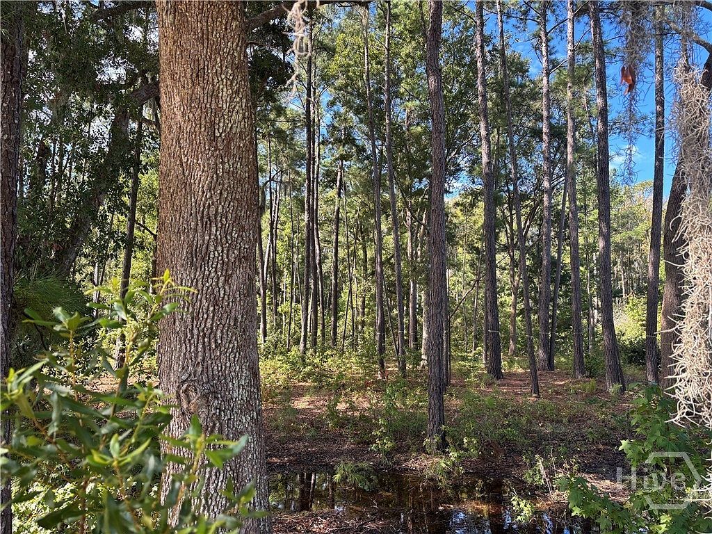 183 Wood Haven Ln Pooler, GA 31322 - Thumbnail 4