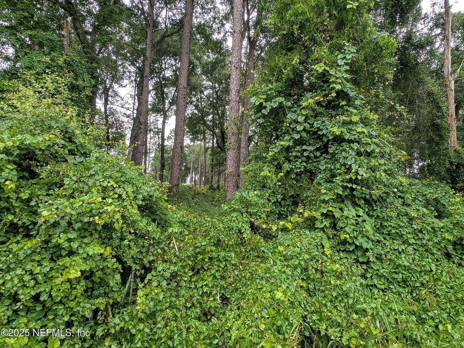 0 SE 1st Ave Keystone Heights, FL 32656 - Thumbnail 4