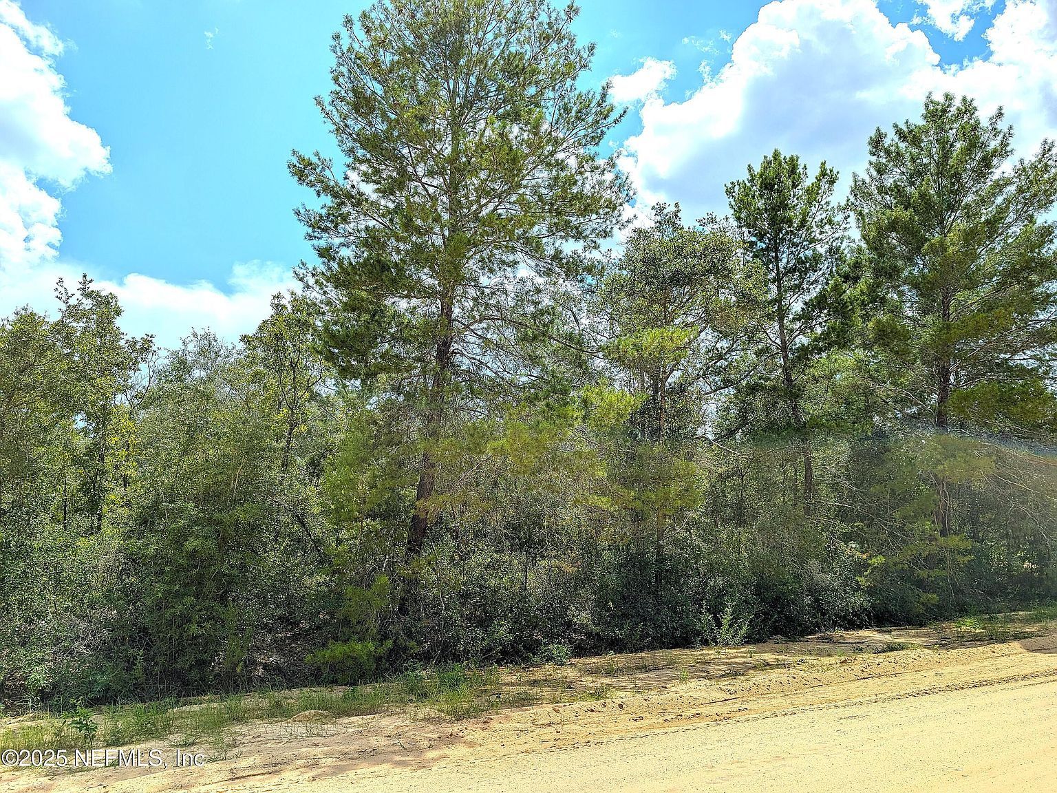 5635 Cherokee St, Keystone Heights, FL, 32656 - Thumbnail 4