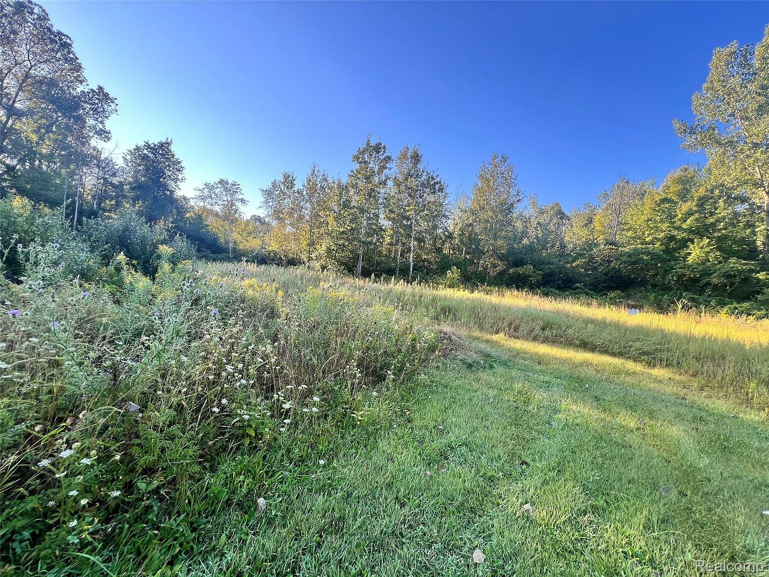 8085 W Newburg Rd Carleton, MI 48117 - Thumbnail 4