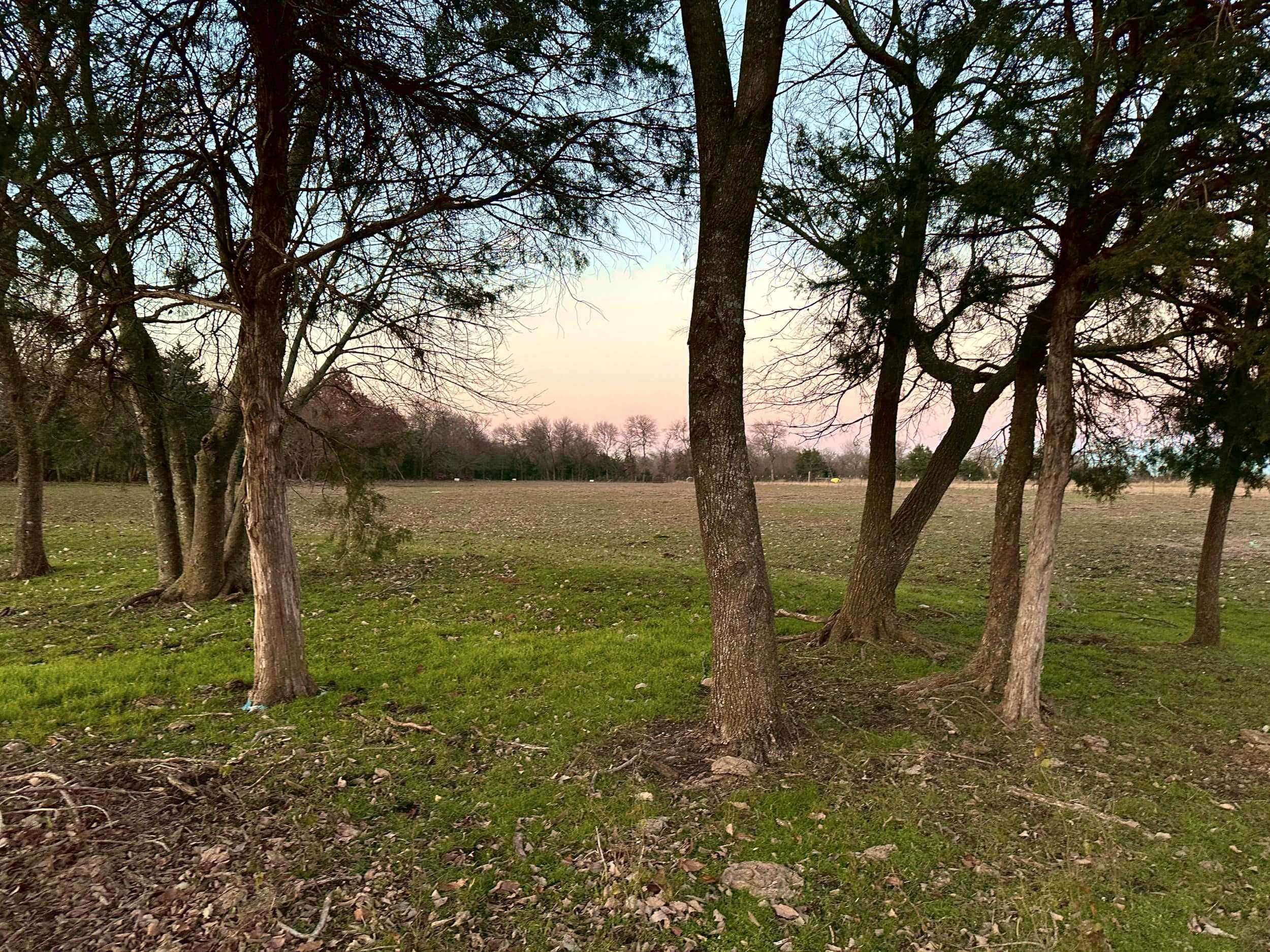 2339 Rose Hill Rd, Whitewright, TX, USA, Whitewright, TX, 75491 - Thumbnail 4