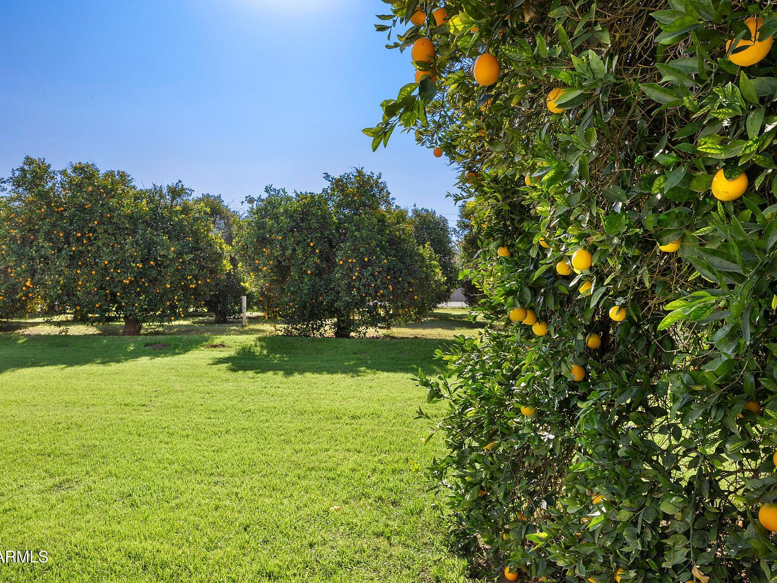 17525 E Regal Dr Queen Creek, AZ 85142 - Thumbnail 4