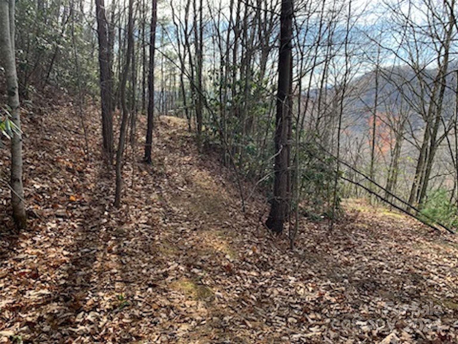 0 Seasons Dr, Clyde, NC, 28721 - Thumbnail 4