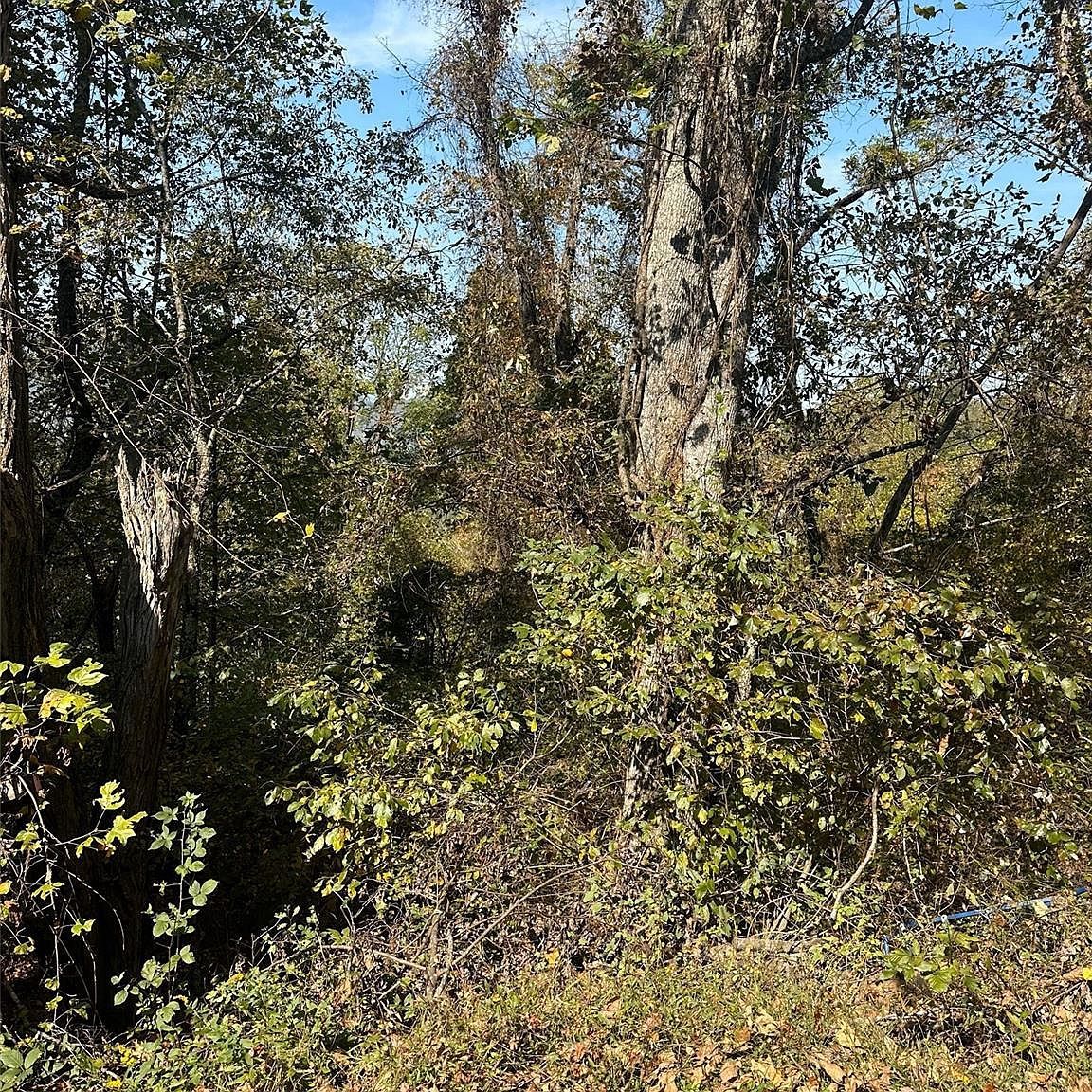 160 Aquarius Rd Canton, NC 28716 - Thumbnail 4