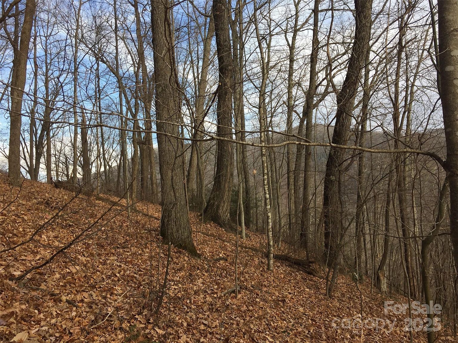 0 Triple Creek Dr Clyde, NC 28721 - Thumbnail 4