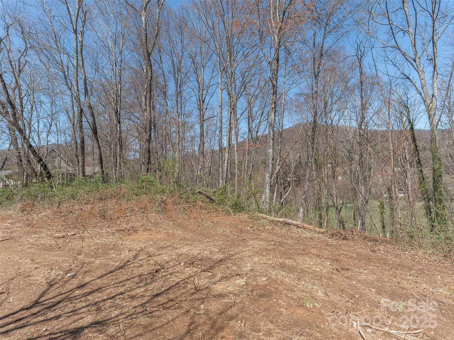 99999 Green Valley Rd #1 Waynesville, NC 28786 - Thumbnail 4