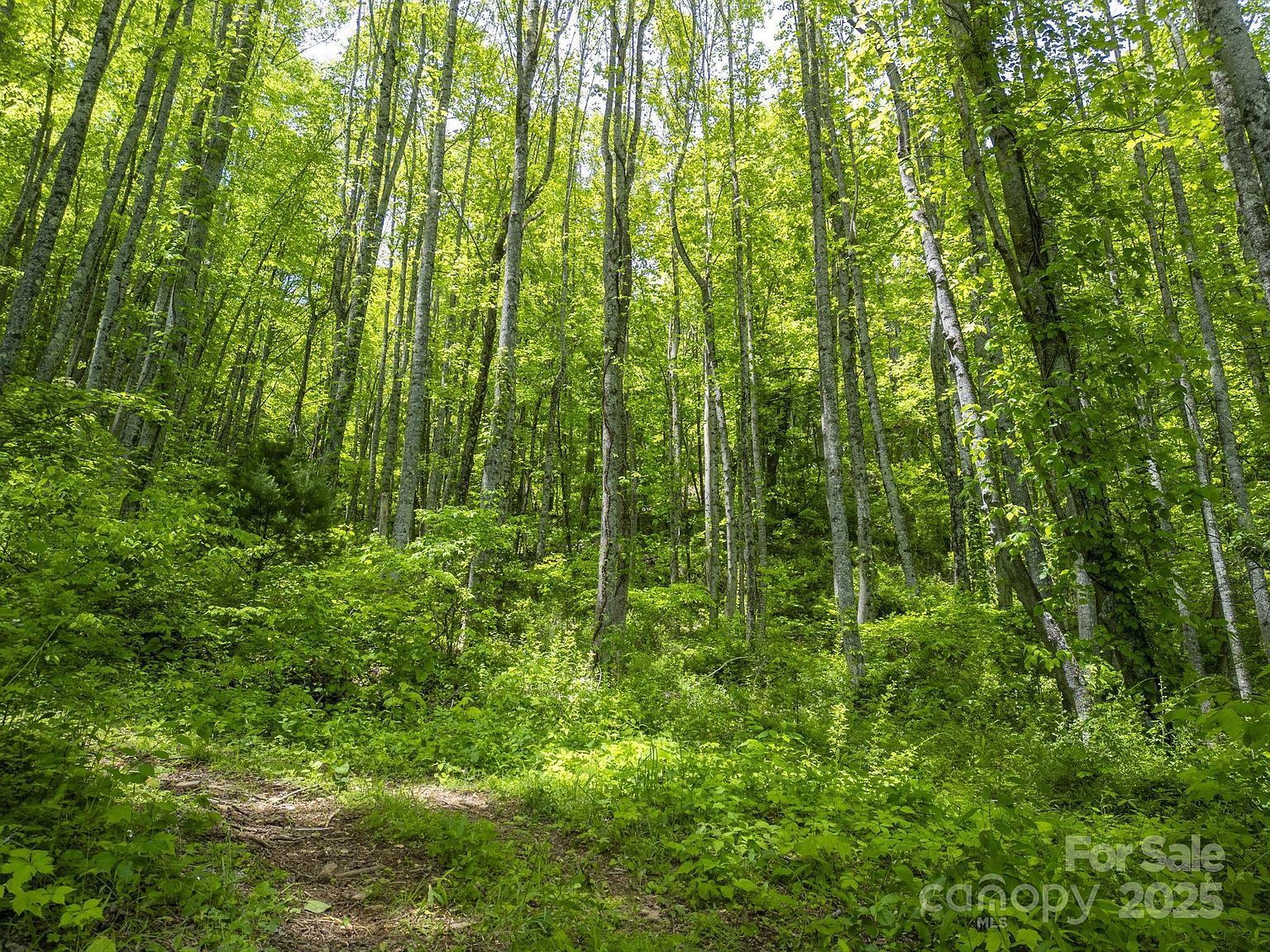 0 Cold Creek Rd Canton, NC 28716 - Thumbnail 4