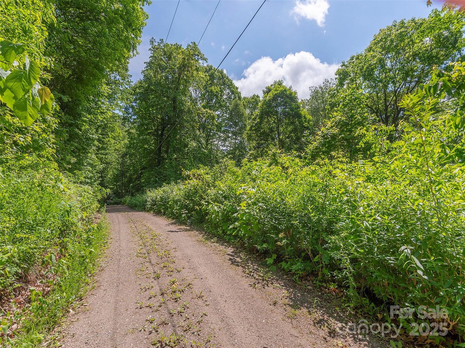 99999 Sara Ridge Rd #32C Waynesville, NC 28786 - Thumbnail 4