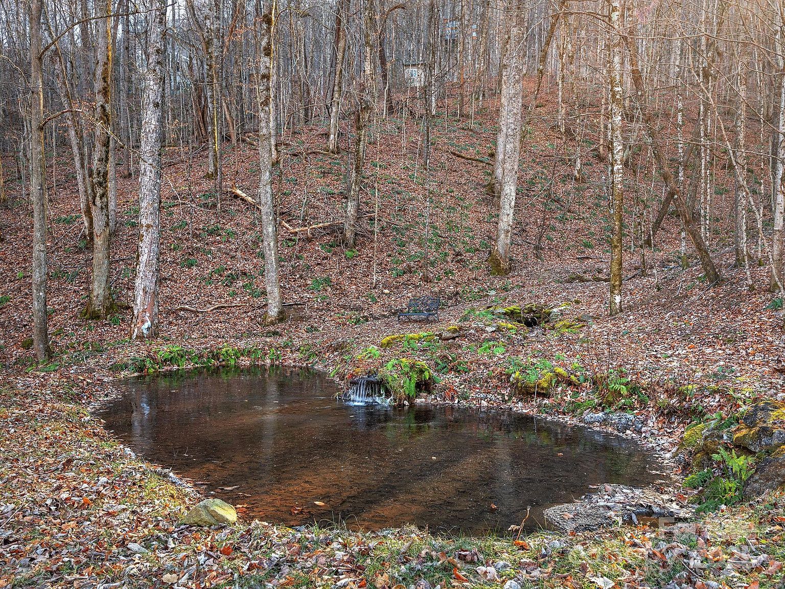 1591 Chestnut Flats Ln Waynesville, NC 28786 - Thumbnail 4