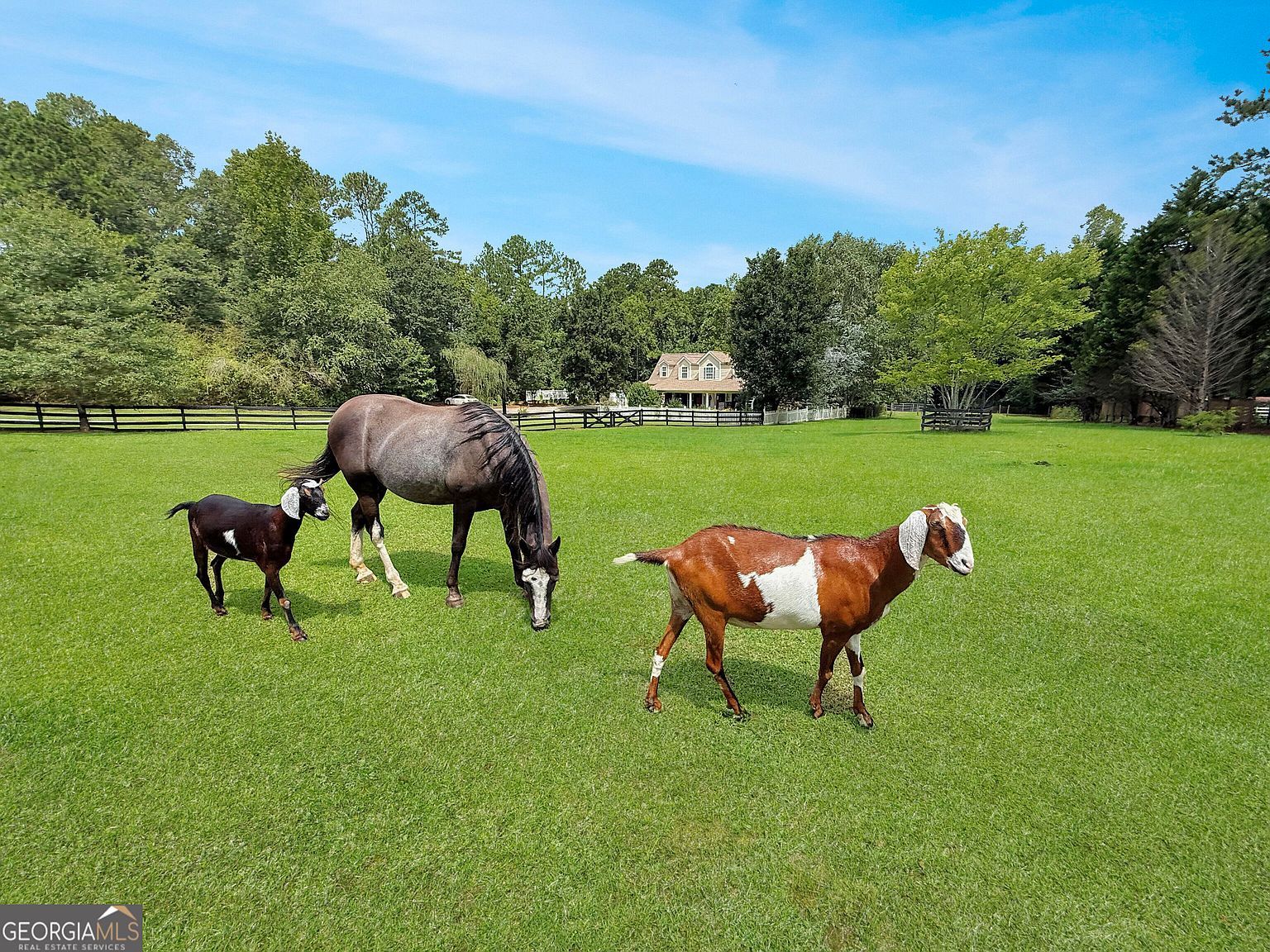 1040 Essex Rd Watkinsville, GA 30677 - Thumbnail 4