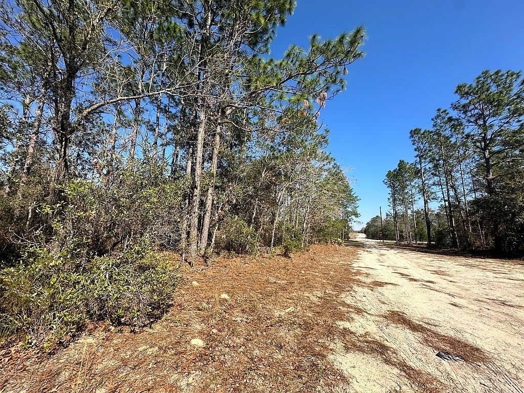 0 NE 66th Ln Williston, FL 32696 - Thumbnail 4